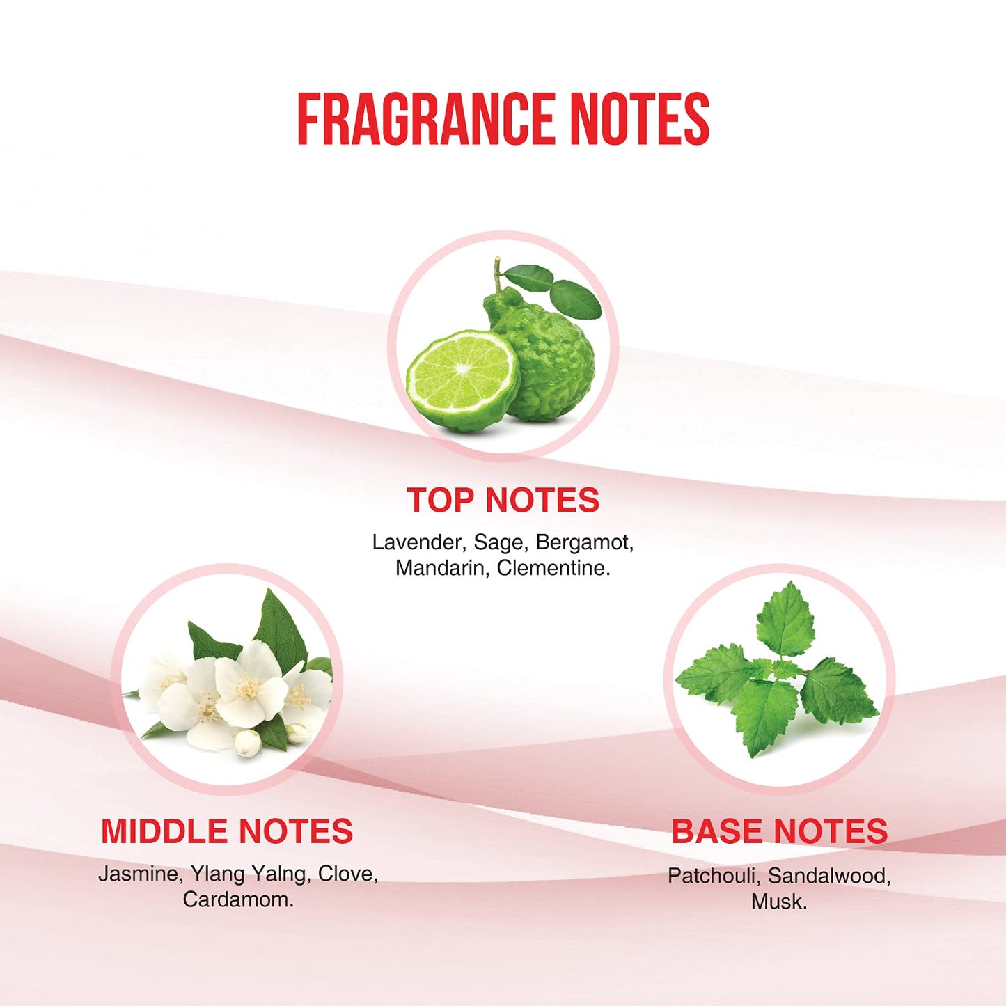 Aramusk Deodorant Body Spray - Musk, Intense, Speed 150-ml Pack of 3