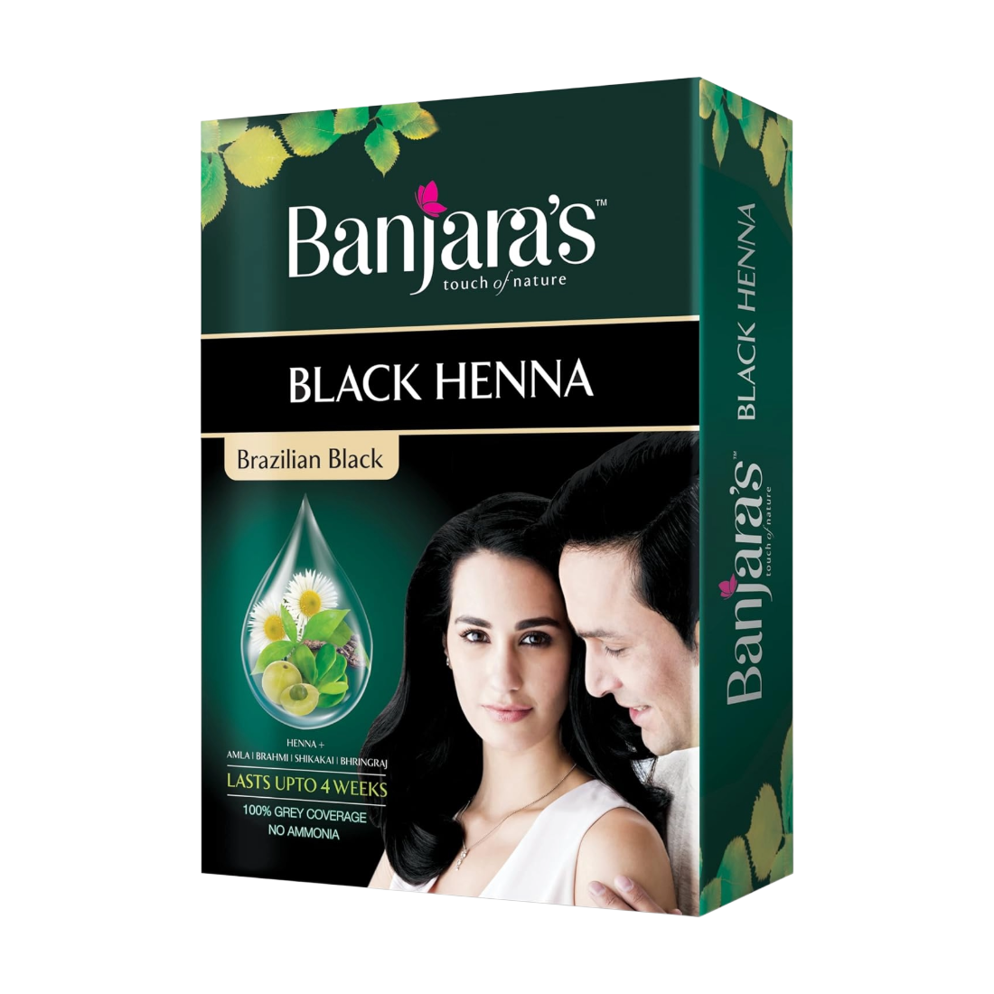 Banjaras Touch Of Nature Black Henna Brazilian Black Hair Color 54gm