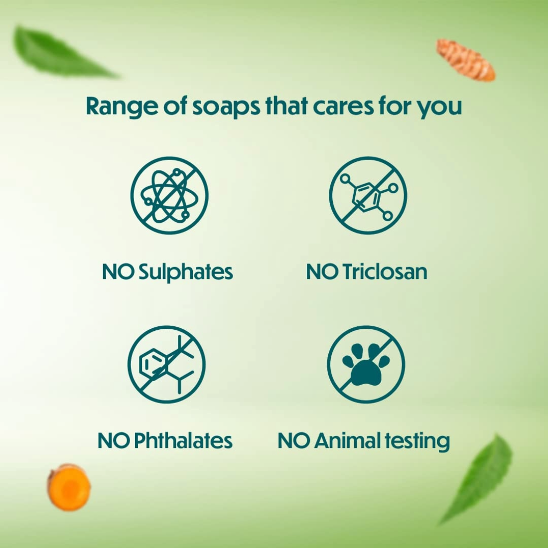 Himalaya Neem And Turmeric Soap 125gm