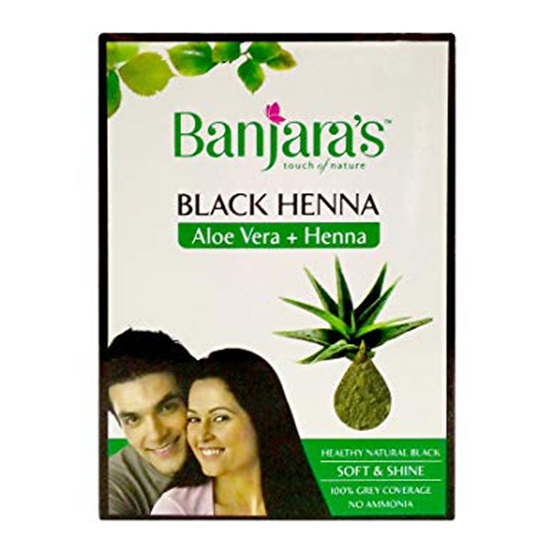 Banjaras Black Henna Aloe Vera + Henna 50gm